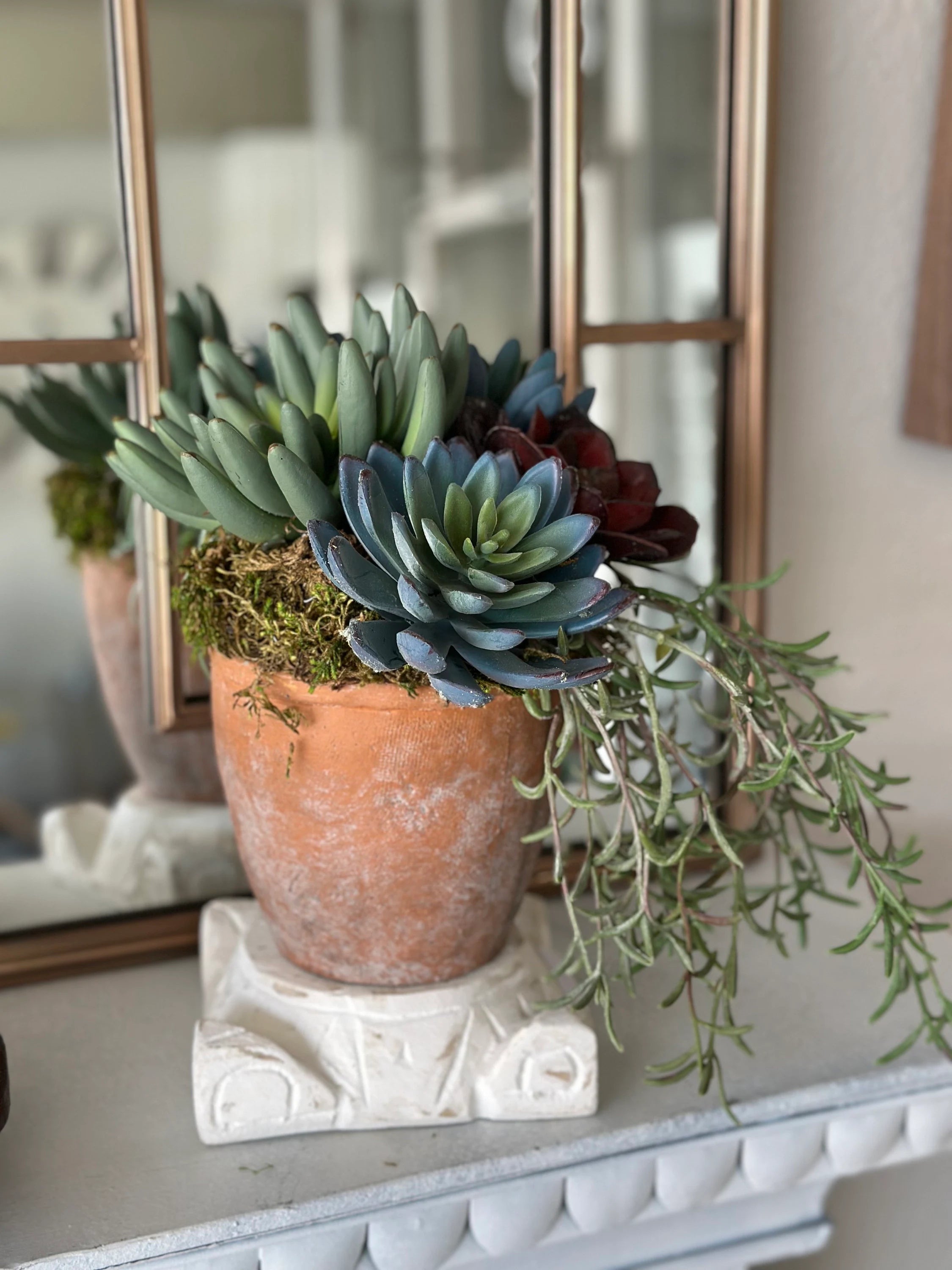 Custom Floral Mixed Succulents in Terra Cotta Pot with Moss