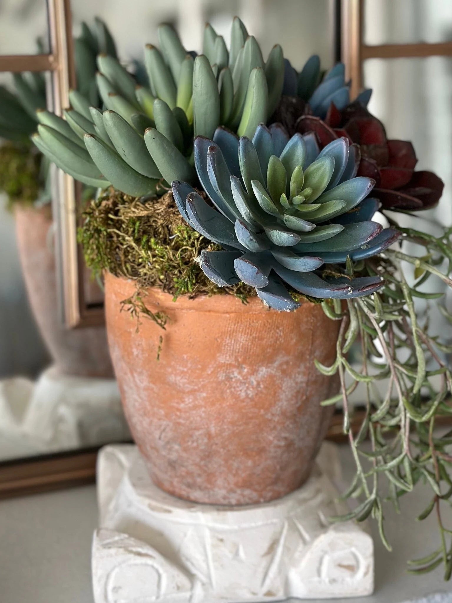 succulent in terracotta pot Custom Floral Mixed Succulents in Terra Cotta Pot with Moss – MelizaInteriorsInc