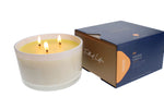 Load image into Gallery viewer, Trapp 3-Wick Soy Candles
