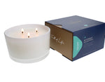 Load image into Gallery viewer, Trapp 3-Wick Soy Candles
