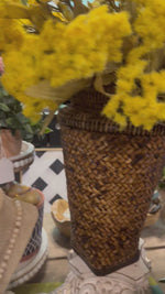 Load and play video in Gallery viewer, Fall/Halloween: Yellow Thistle Bush 3-PACK
