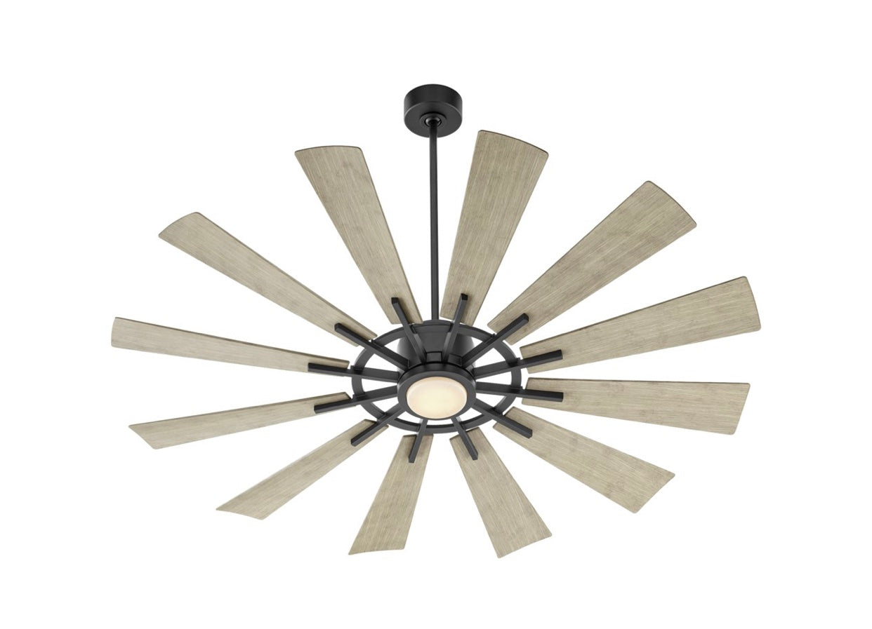 NEW! 72" Cirque Ceiling Fan DAMP