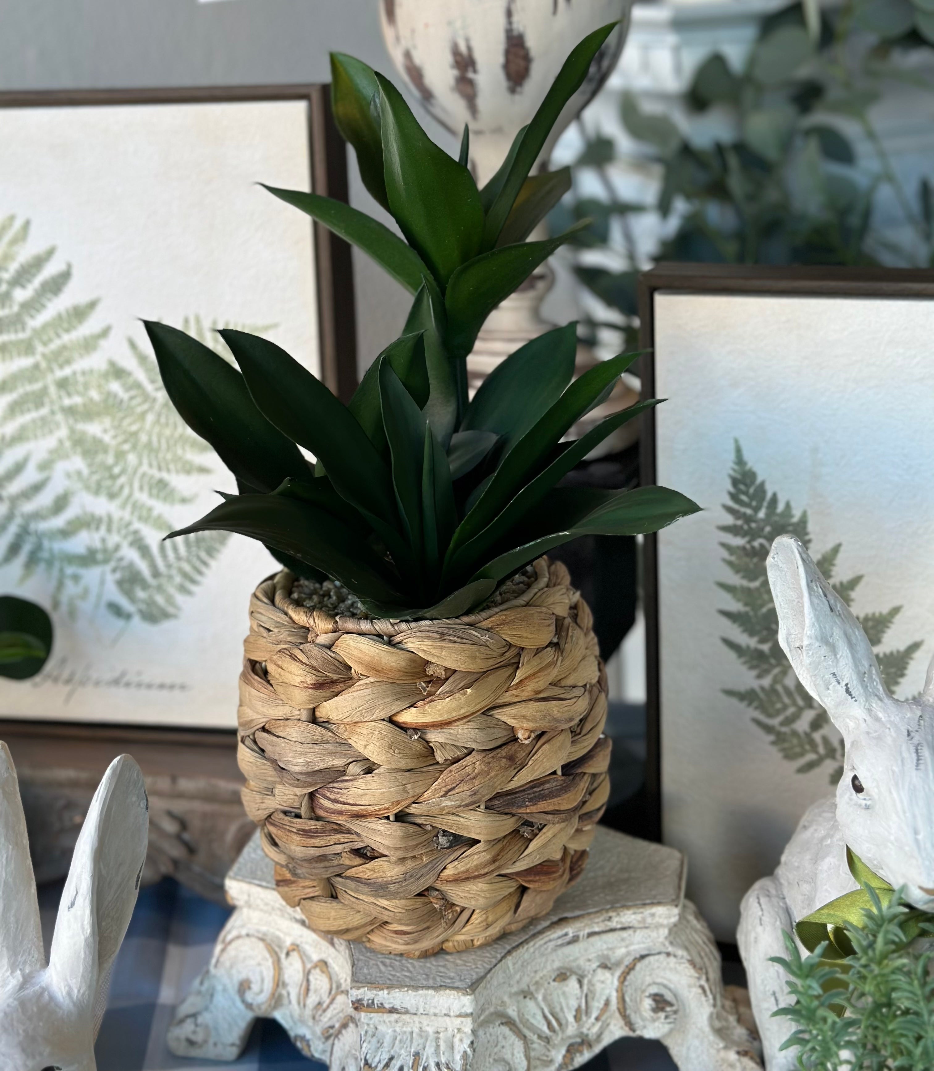 Assorted Foliage in Woven Baskets (3 Styles)