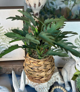 Assorted Foliage in Woven Baskets (3 Styles)