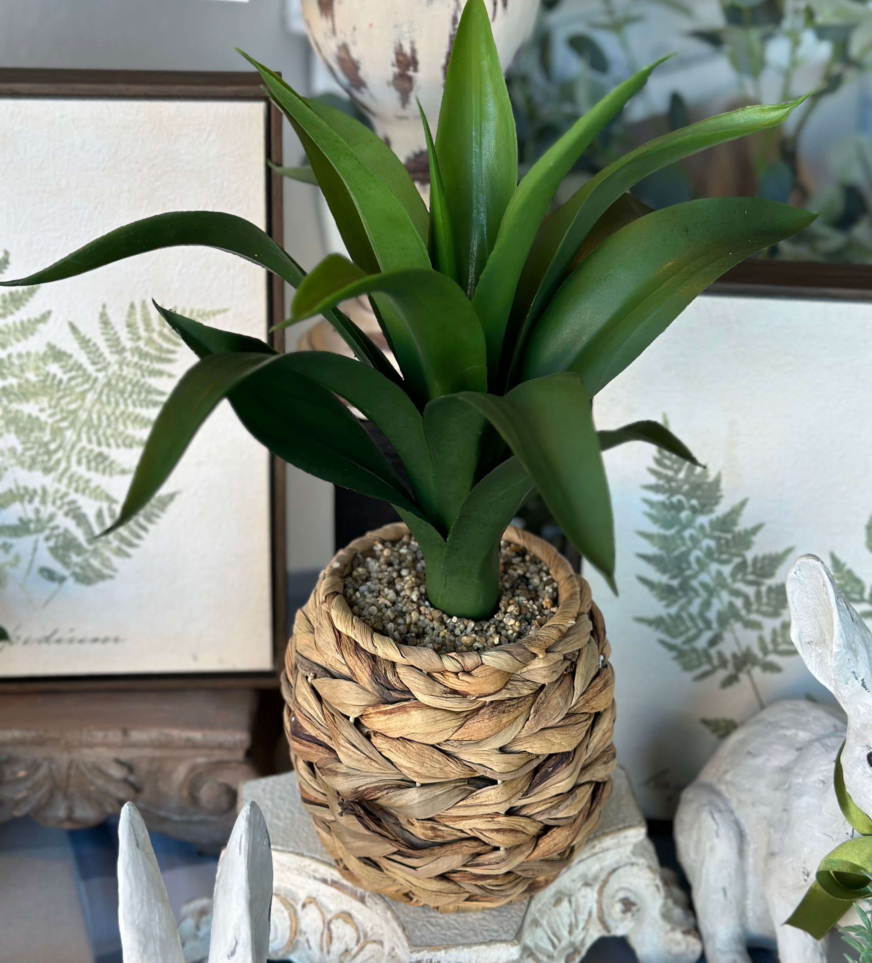 Assorted Foliage in Woven Baskets (3 Styles)