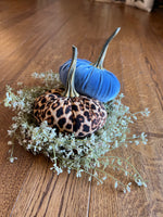 Load image into Gallery viewer, Leopard Stuffed Pumpkin
