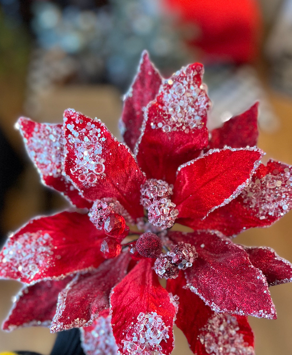 Ruby Red Glam Velvet Poinsettia with Sequins Pack of 3