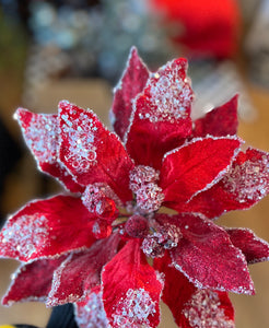 Ruby Red Glam Velvet Poinsettia with Sequins Pack of 3