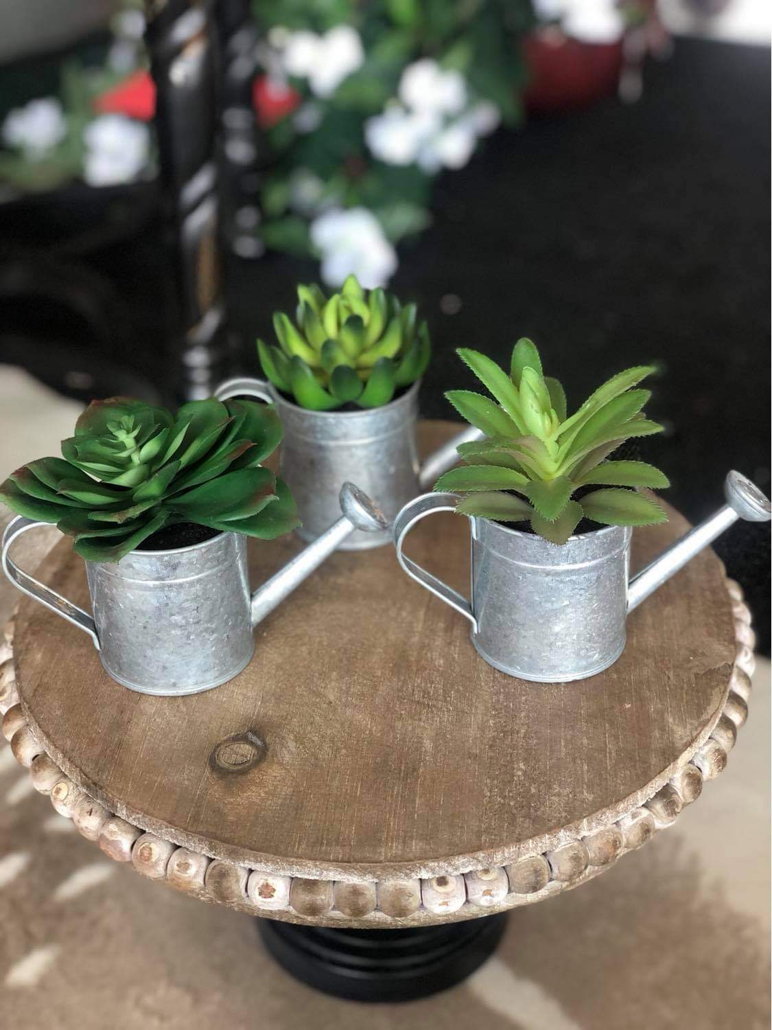 succulents in watering can Succulents in Galvanized Watering Can