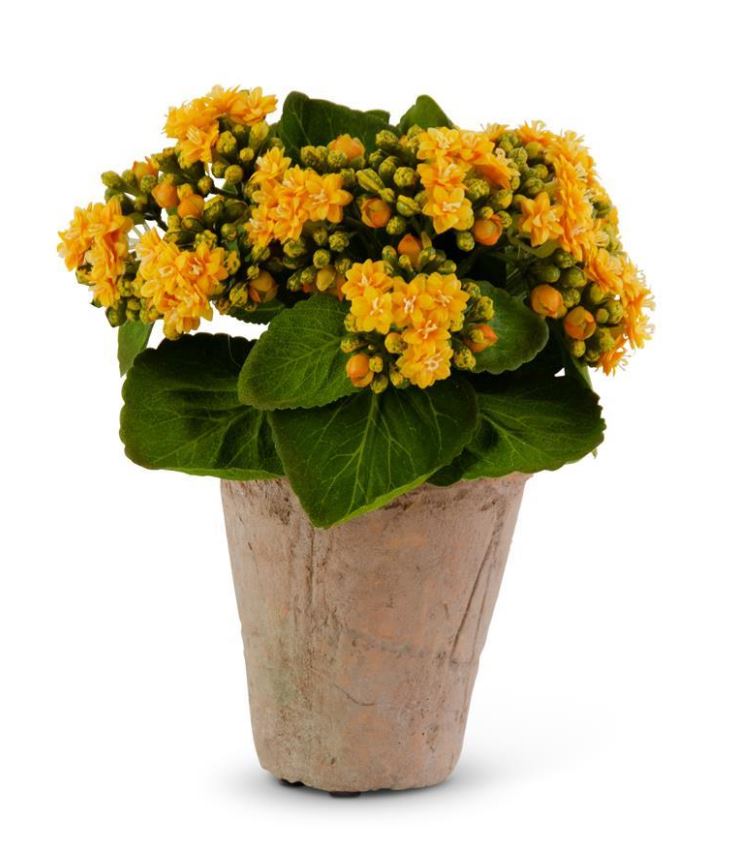 Yellow Faux Kalanchoe in Clay Pot